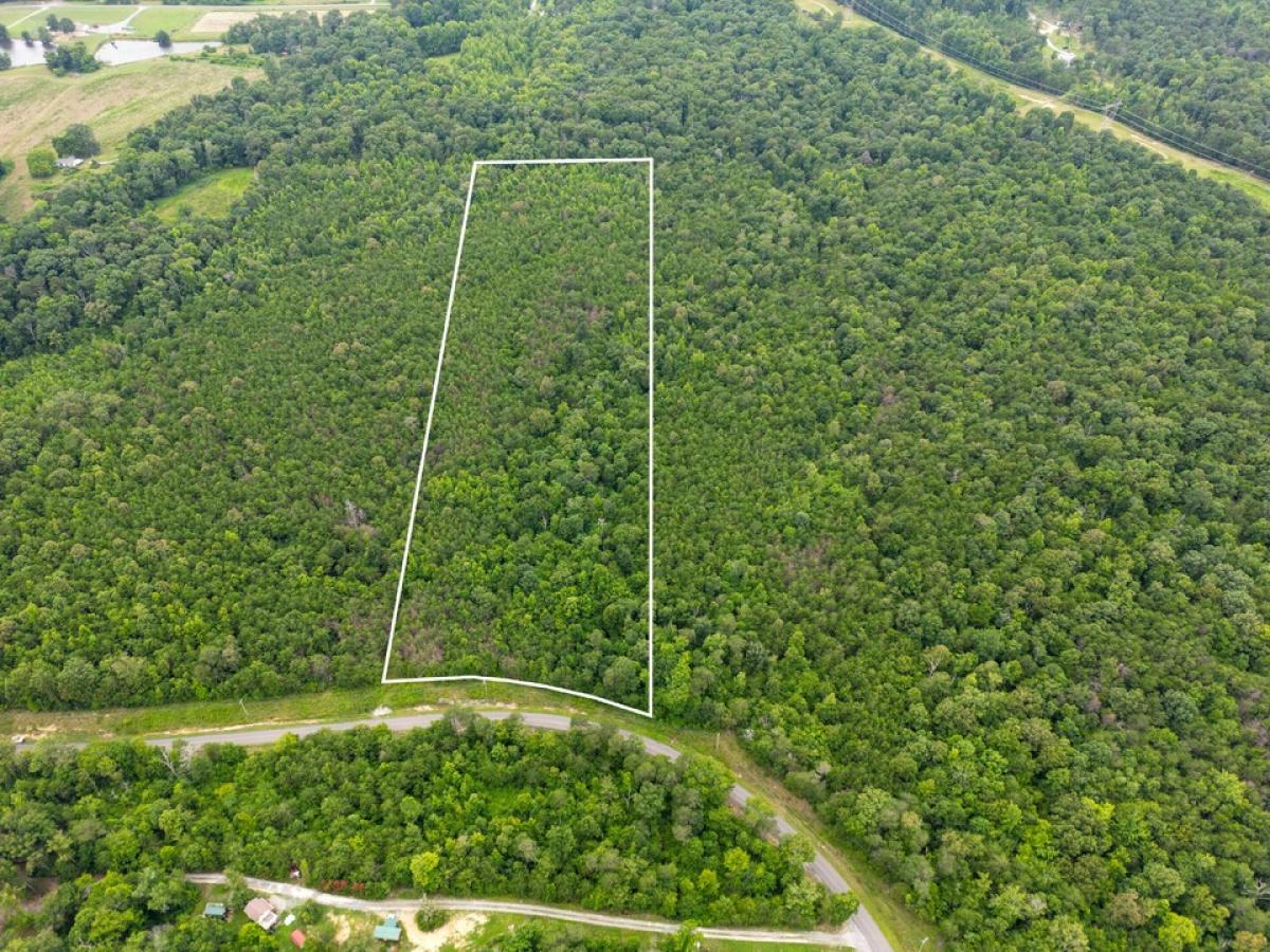 Picture of Residential Land For Sale in Bryant, Alabama, United States