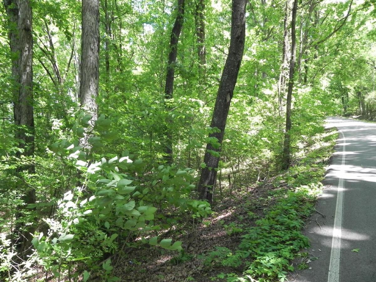 Picture of Residential Land For Sale in Hixson, Tennessee, United States