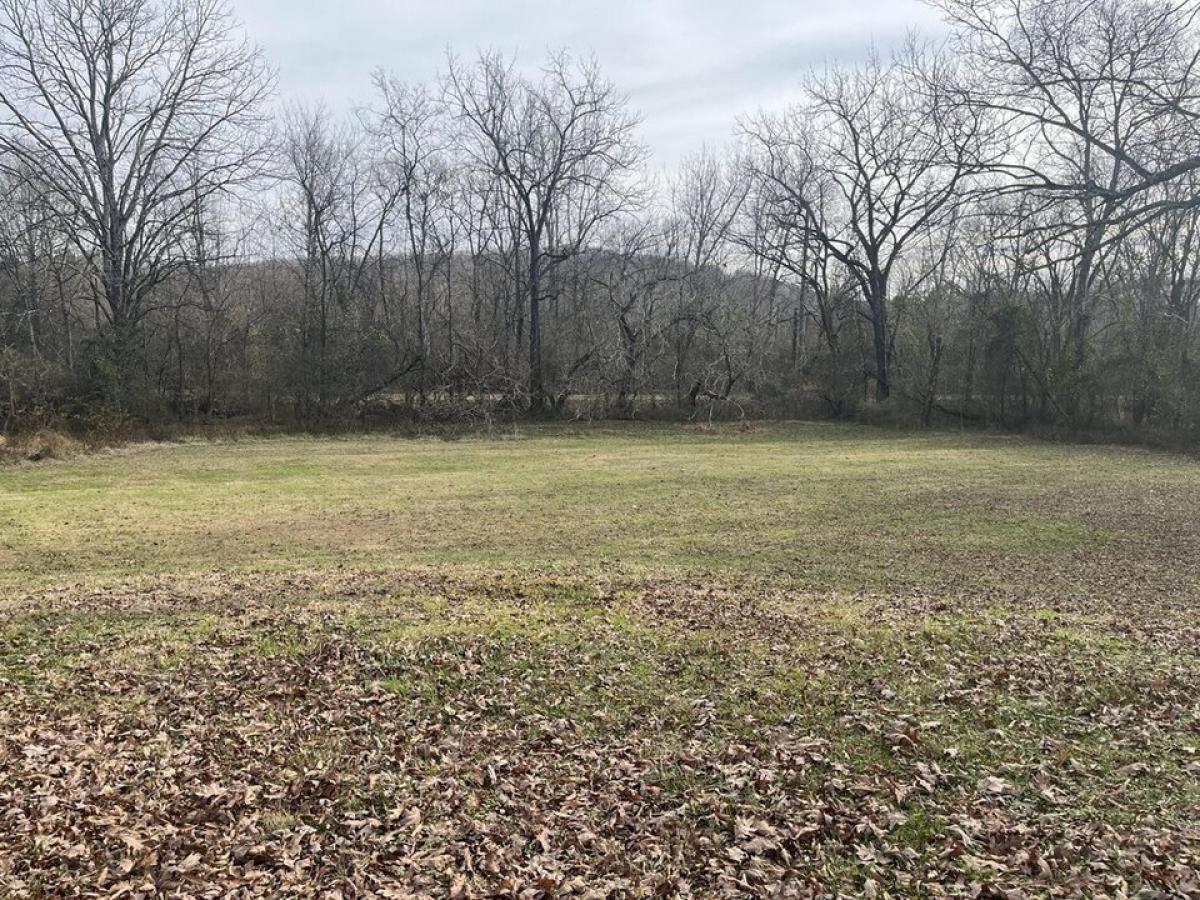 Picture of Residential Land For Sale in Lafayette, Georgia, United States