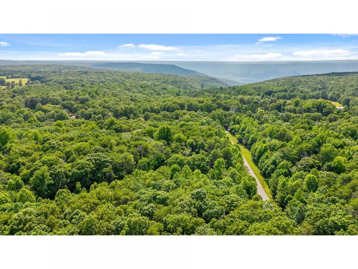 Picture of Residential Land For Sale in Rising Fawn, Georgia, United States