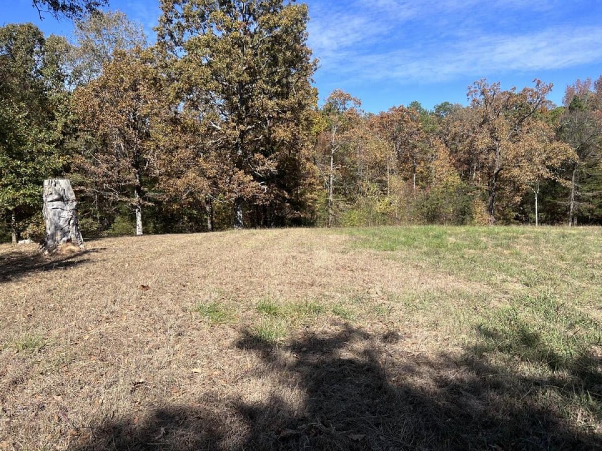 Picture of Residential Land For Sale in Bridgeport, Alabama, United States