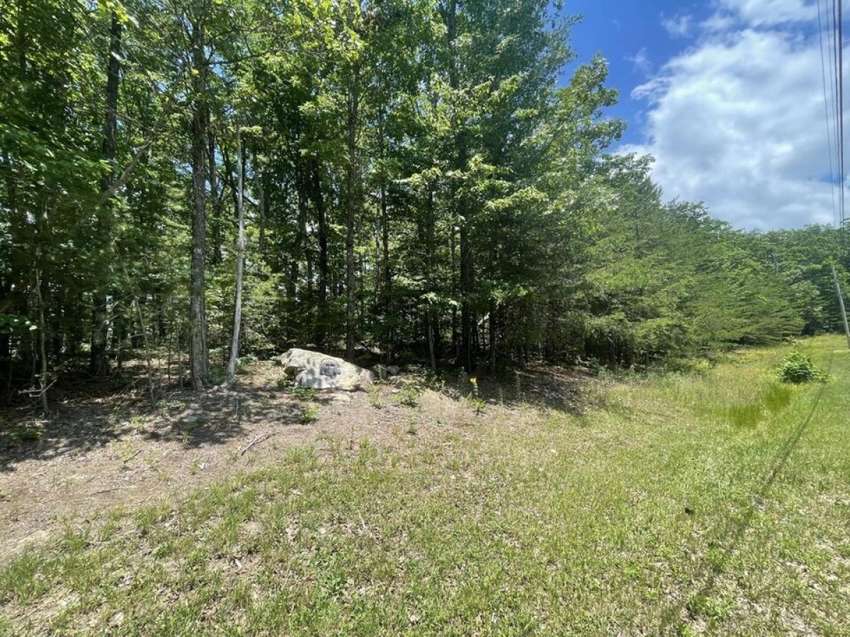 Picture of Residential Land For Sale in Graysville, Tennessee, United States