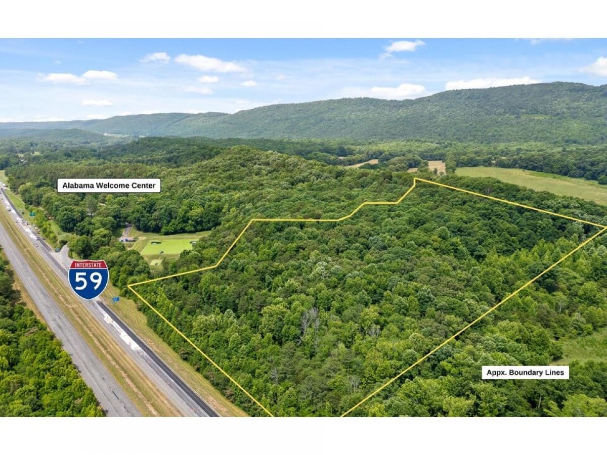 Picture of Residential Land For Sale in Valley Head, Alabama, United States