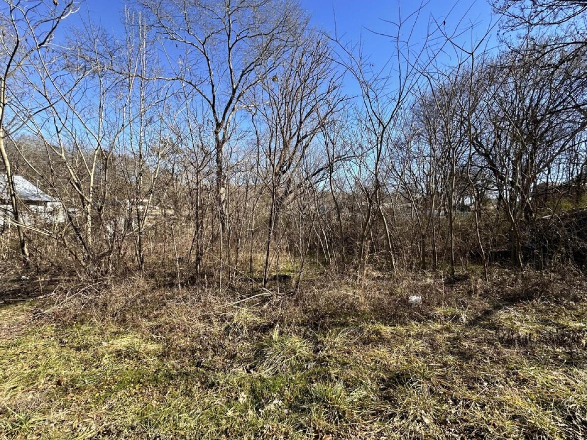 Picture of Residential Land For Sale in Lafayette, Georgia, United States