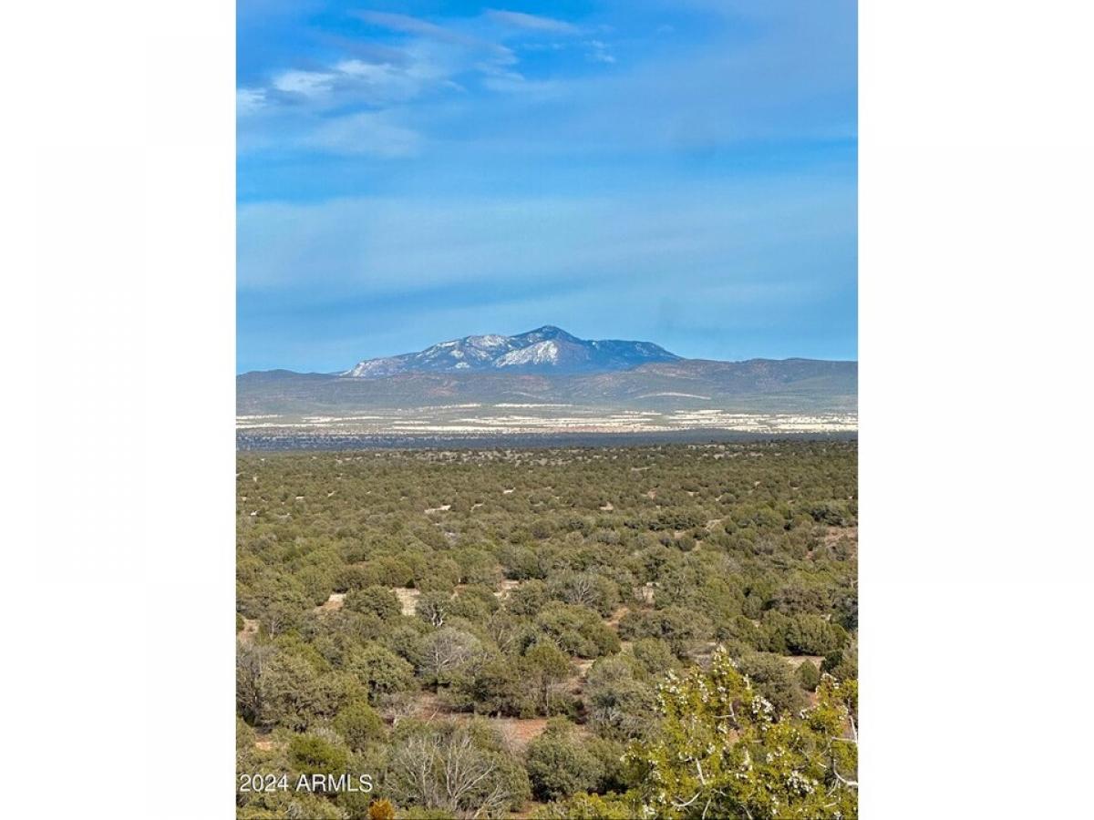 Picture of Residential Land For Sale in Ash Fork, Arizona, United States