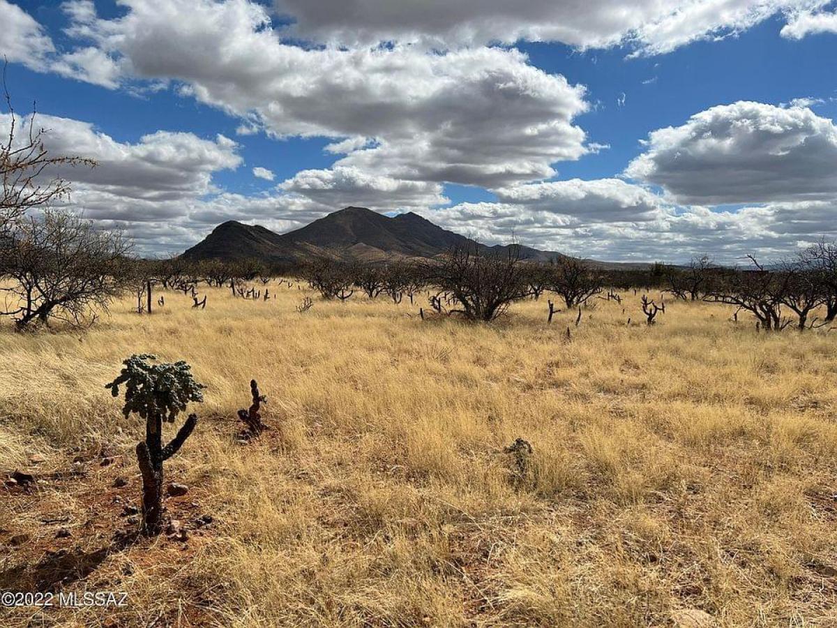 Picture of Residential Land For Sale in Tubac, Arizona, United States