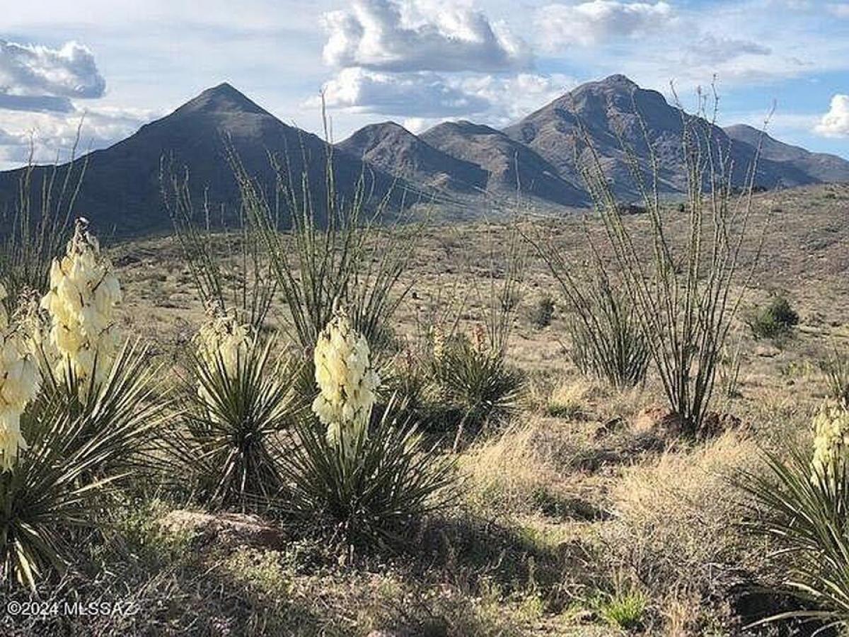 Picture of Residential Land For Sale in Rio Rico, Arizona, United States