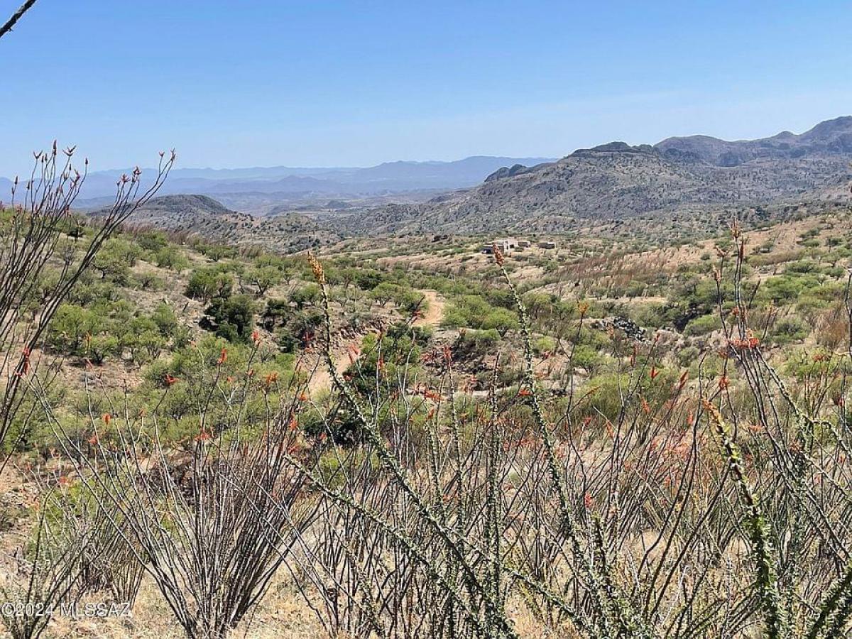 Picture of Residential Land For Sale in Tubac, Arizona, United States