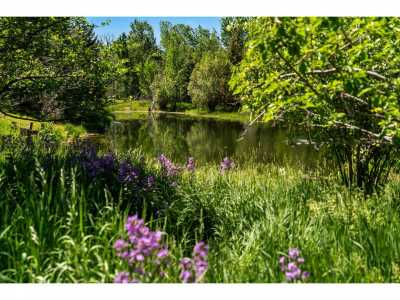 Home For Sale in Pony, Montana