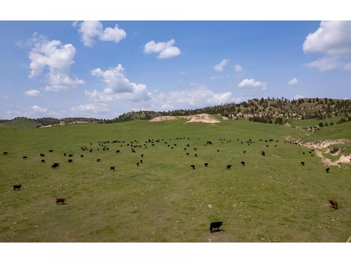 Picture of Farm For Sale in Gering, Nebraska, United States