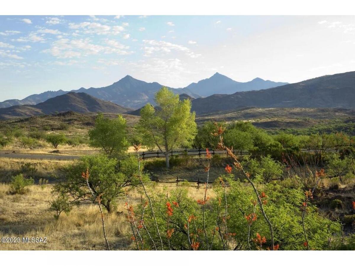 Picture of Residential Land For Sale in Tubac, Arizona, United States