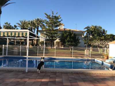 Villa For Sale in Cabo Roig, Spain