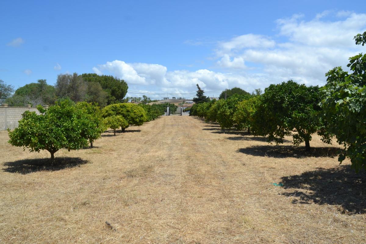 Picture of Home For Sale in Chiclana, Cadiz, Spain