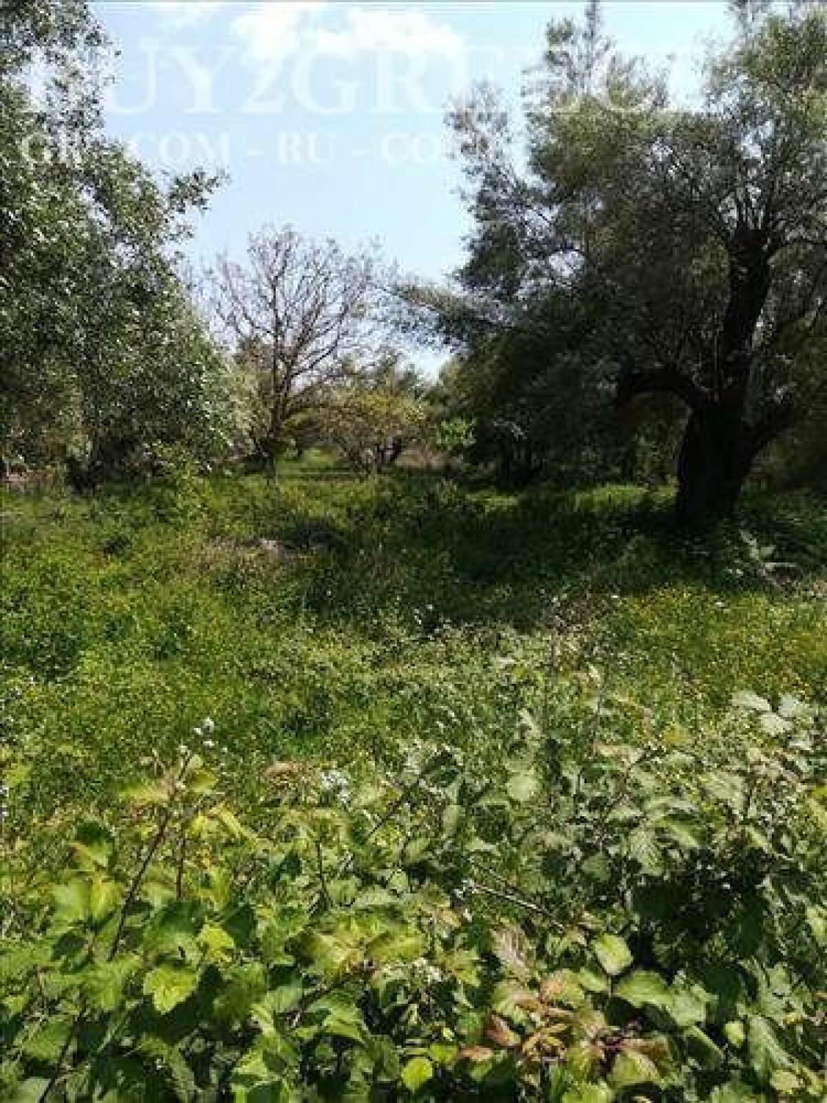 Picture of Residential Land For Sale in Lefkada, Ionian Islands, Greece