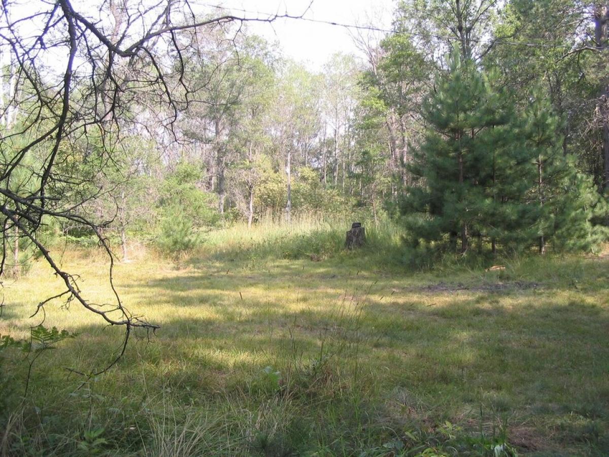 Picture of Residential Land For Sale in Grayling, Michigan, United States