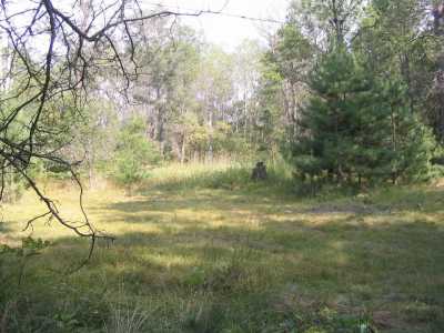 Residential Land For Sale in Grayling, Michigan