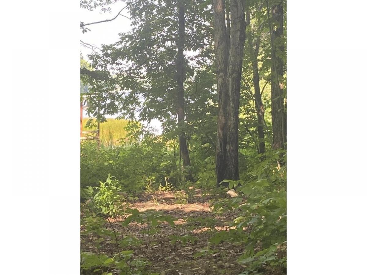 Picture of Residential Land For Sale in Atlanta, Michigan, United States