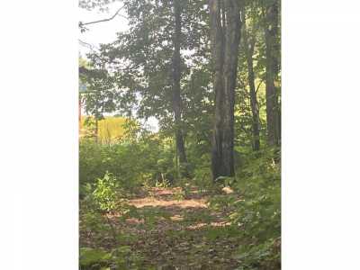 Residential Land For Sale in Atlanta, Michigan