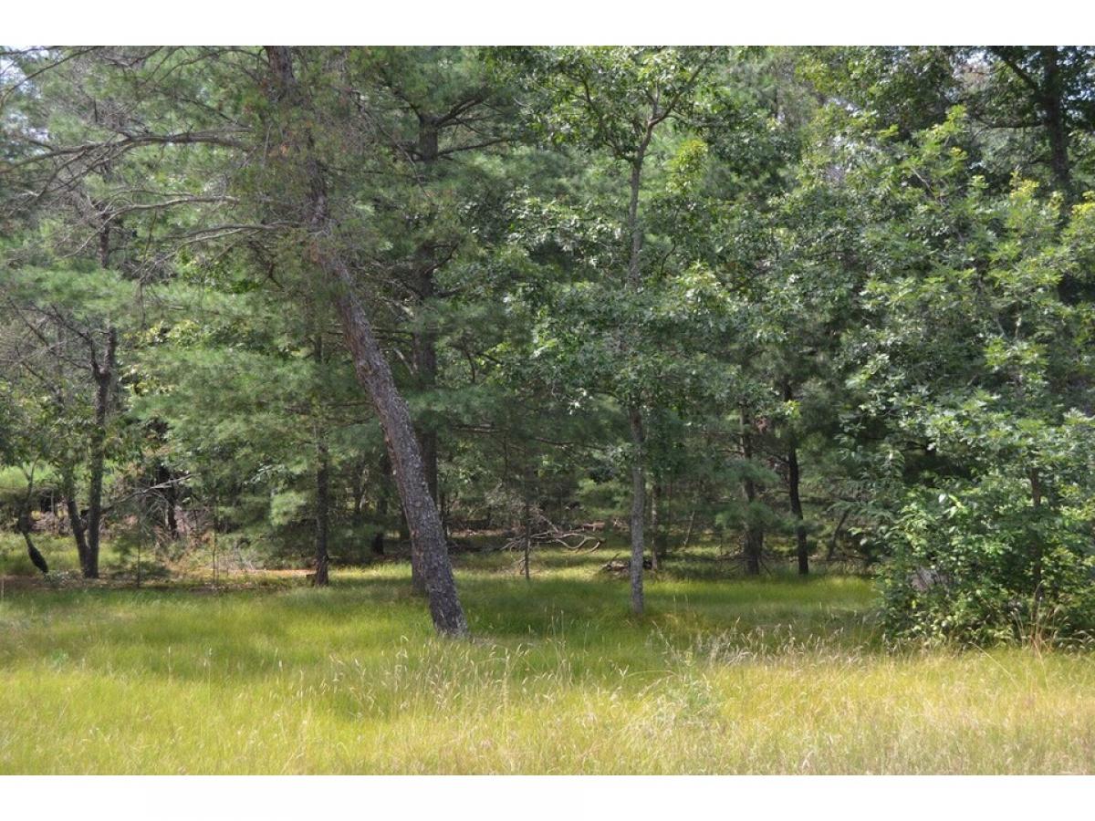 Picture of Residential Land For Sale in Roscommon, Michigan, United States