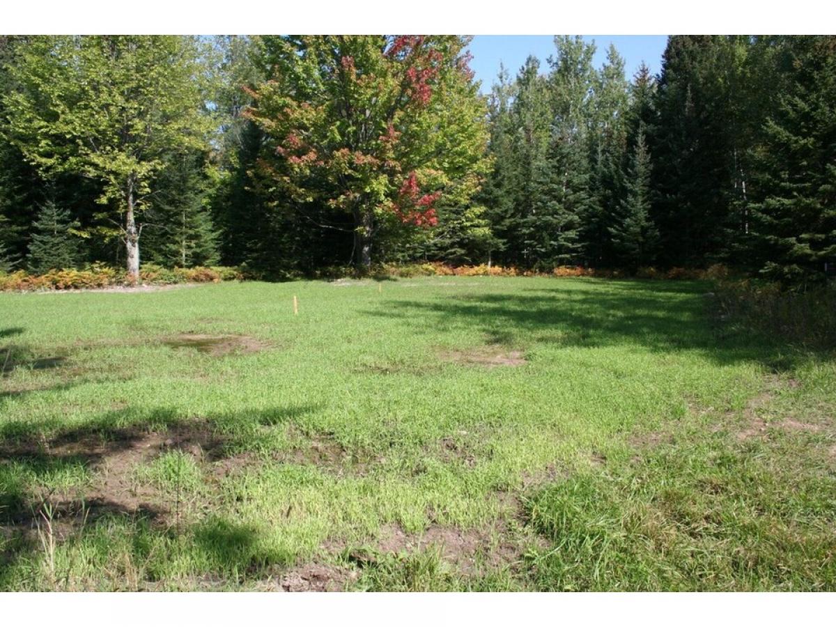 Picture of Residential Land For Sale in Hillman, Michigan, United States