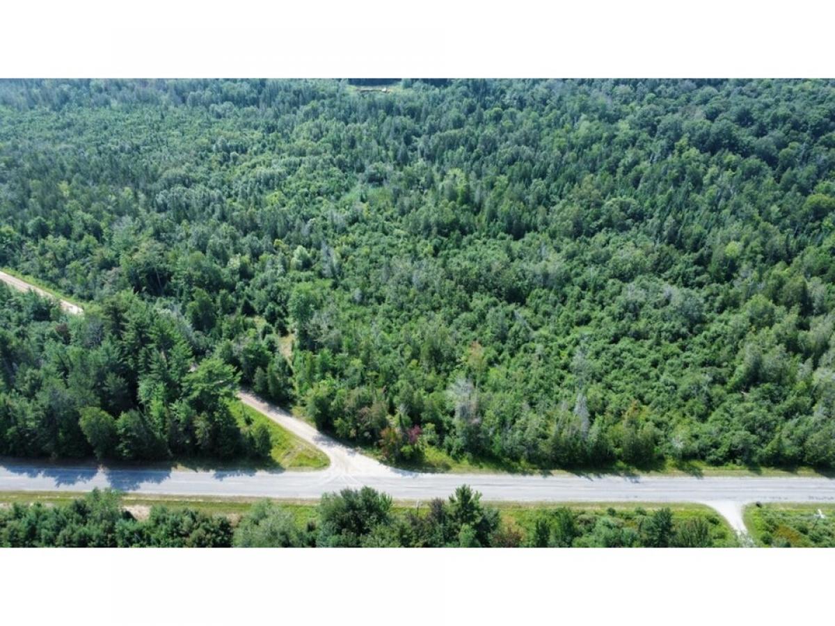 Picture of Residential Land For Sale in Harrisville, Michigan, United States