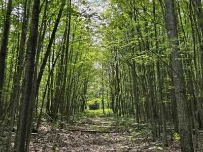 Residential Land For Sale in Lincoln, Michigan