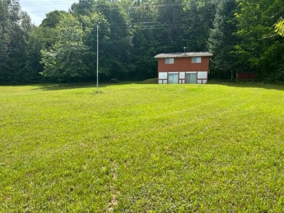 Picture of Home For Sale in Vanderbilt, Michigan, United States