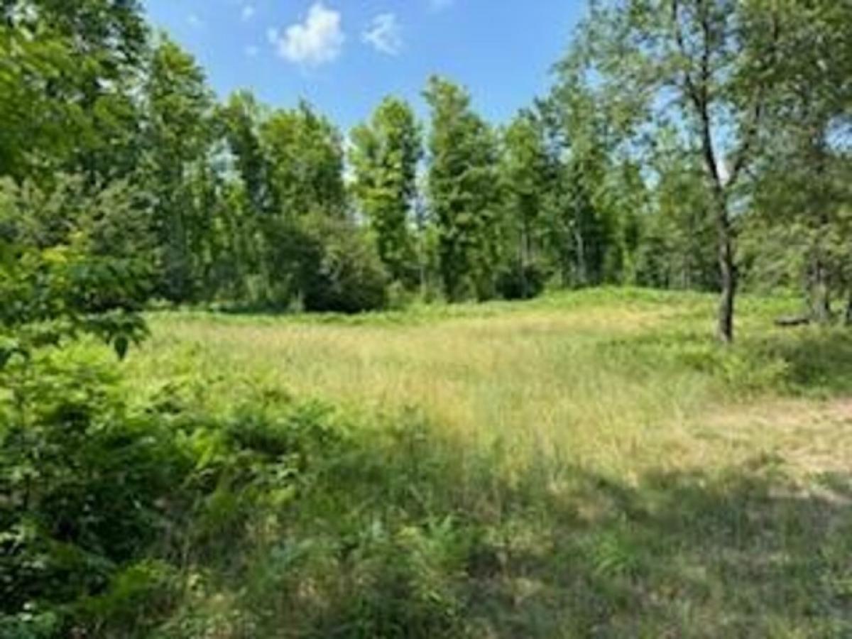 Picture of Residential Land For Sale in Frederic, Michigan, United States