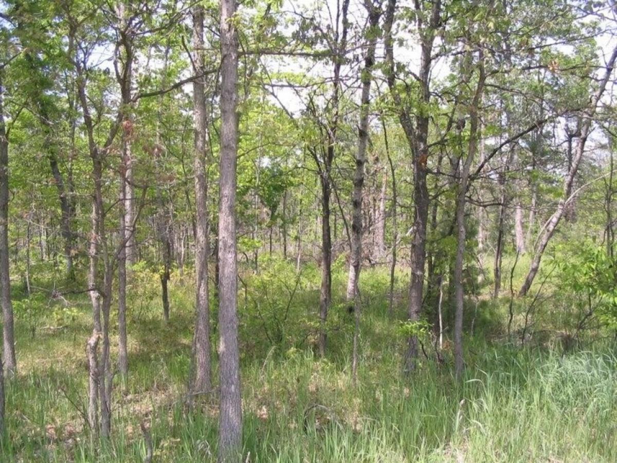 Picture of Residential Land For Sale in Roscommon, Michigan, United States