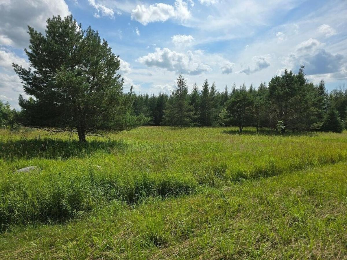 Picture of Residential Land For Sale in Hawks, Michigan, United States