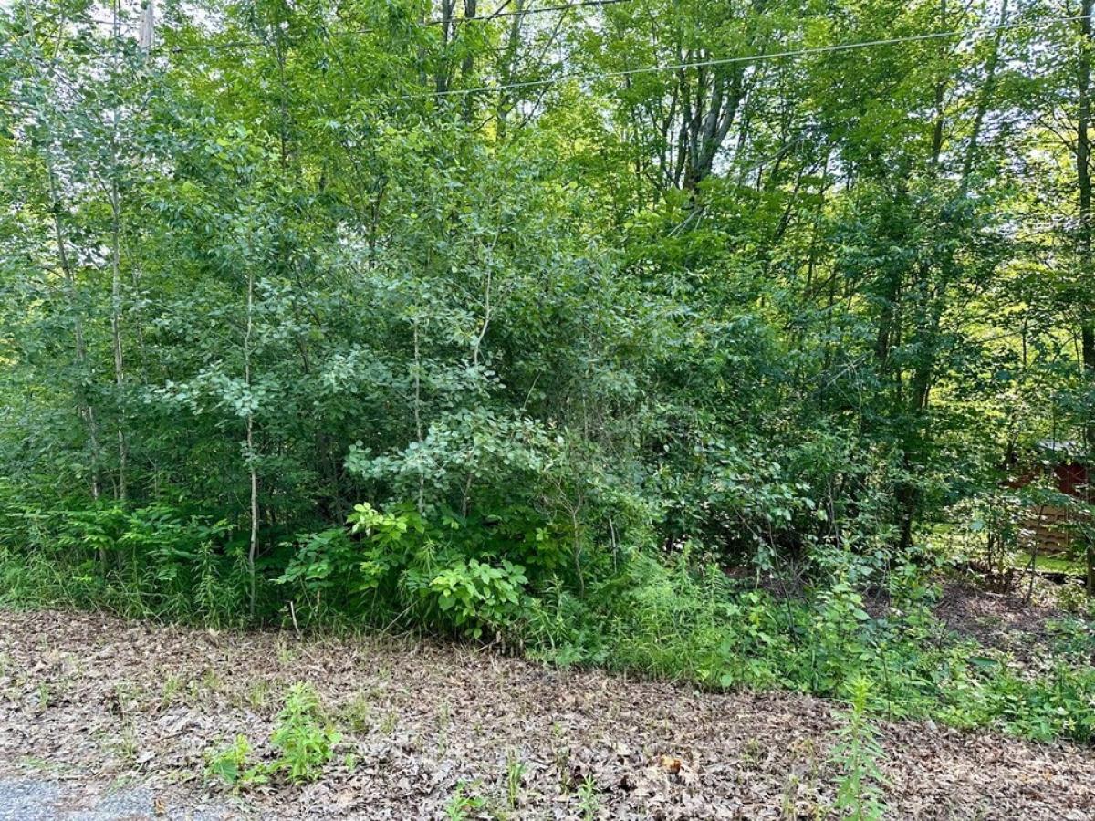 Picture of Residential Land For Sale in Roscommon, Michigan, United States