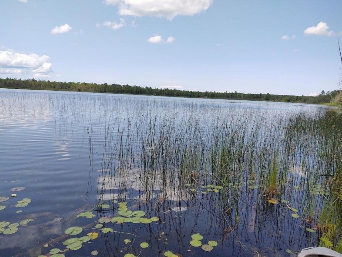 Picture of Residential Land For Sale in Millersburg, Michigan, United States