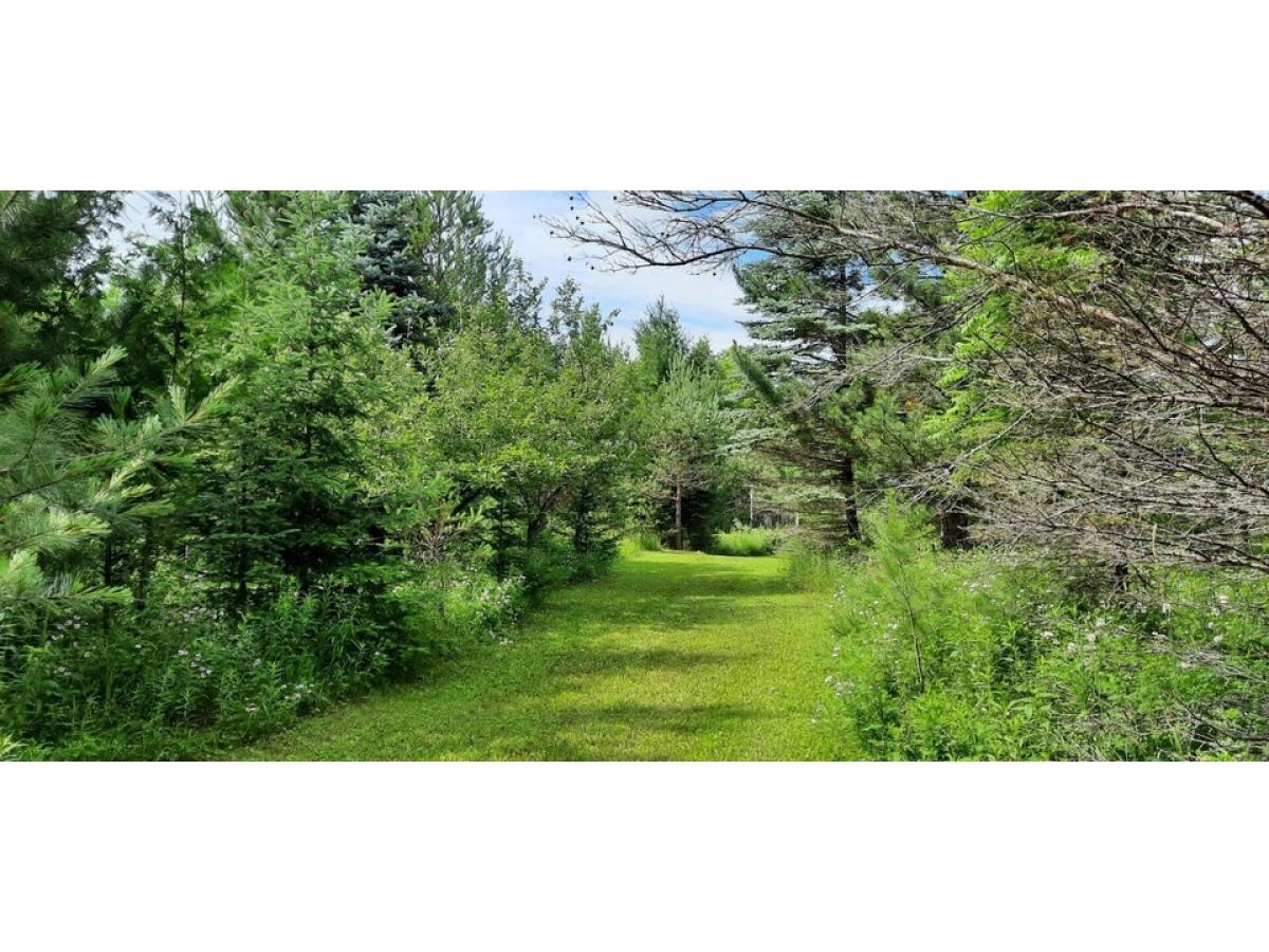 Picture of Residential Land For Sale in Hubbard Lake, Michigan, United States