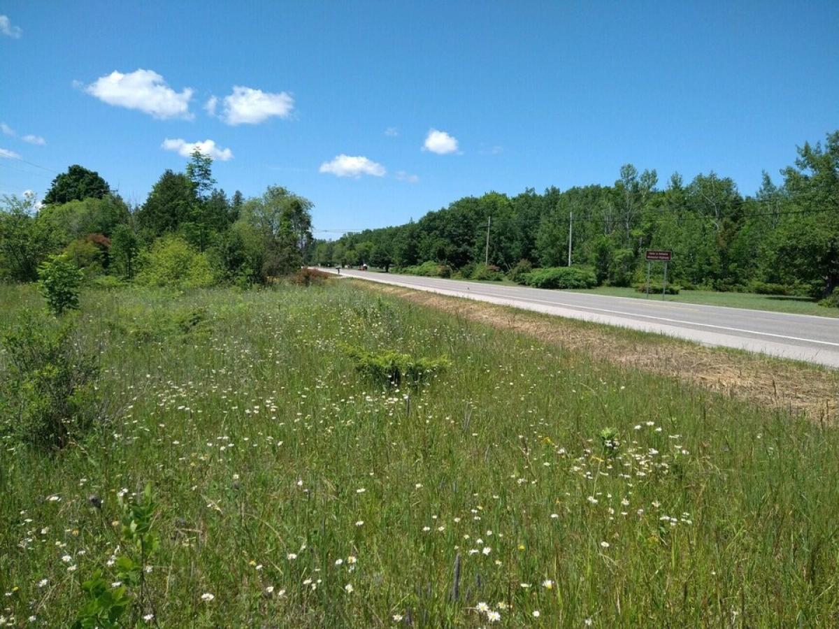 Picture of Residential Land For Sale in Presque Isle, Michigan, United States