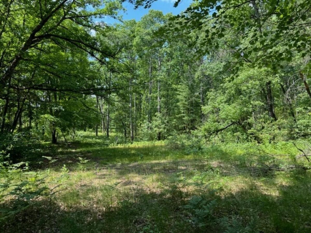 Picture of Residential Land For Sale in Prudenville, Michigan, United States