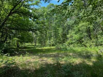 Residential Land For Sale in Prudenville, Michigan