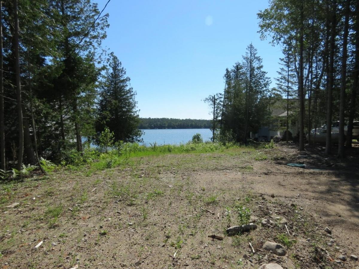 Picture of Residential Land For Sale in Presque Isle, Michigan, United States