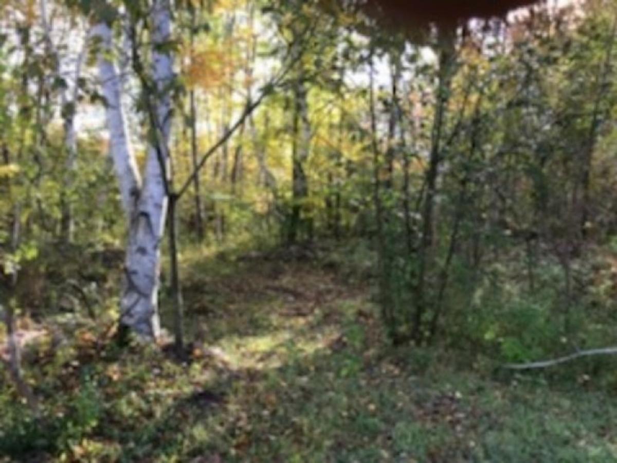 Picture of Residential Land For Sale in Ossineke, Michigan, United States