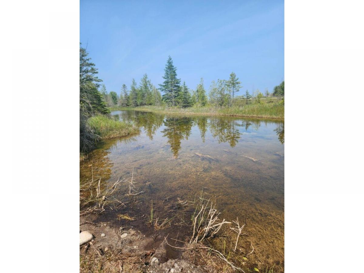 Picture of Residential Land For Sale in Alpena, Michigan, United States