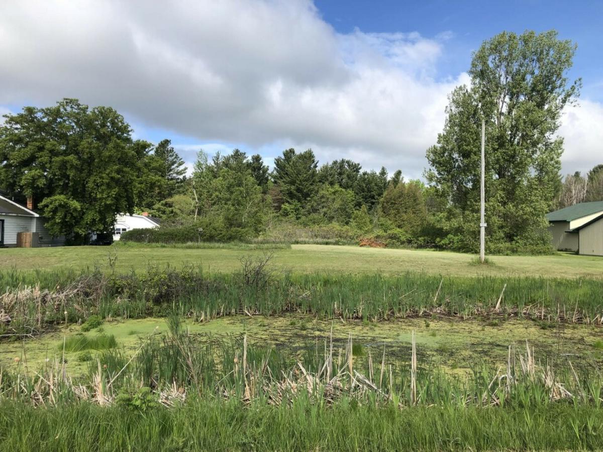 Picture of Residential Land For Sale in Oscoda, Michigan, United States