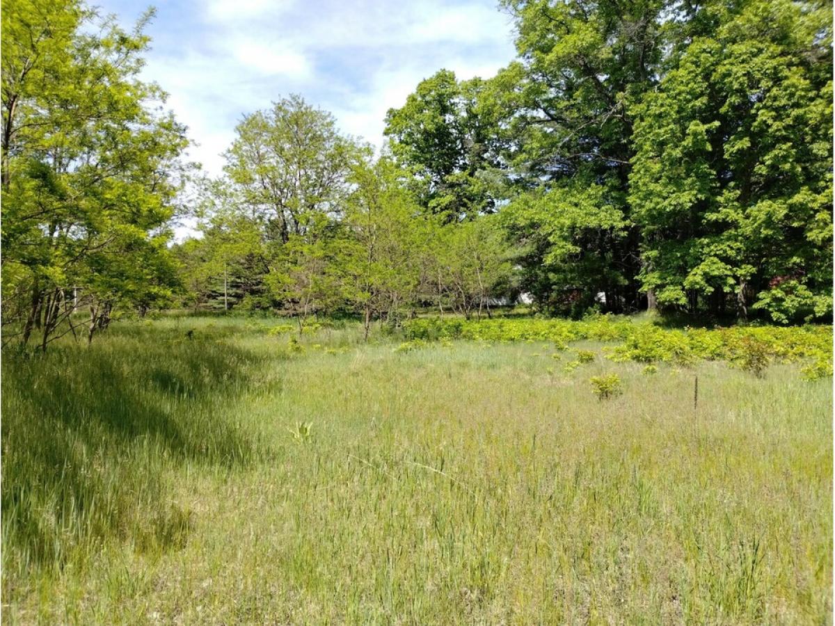 Picture of Residential Land For Sale in Atlanta, Michigan, United States