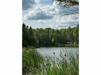 Residential Land For Sale in Curran, Michigan