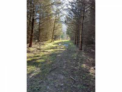 Residential Land For Sale in Harrisville, Michigan