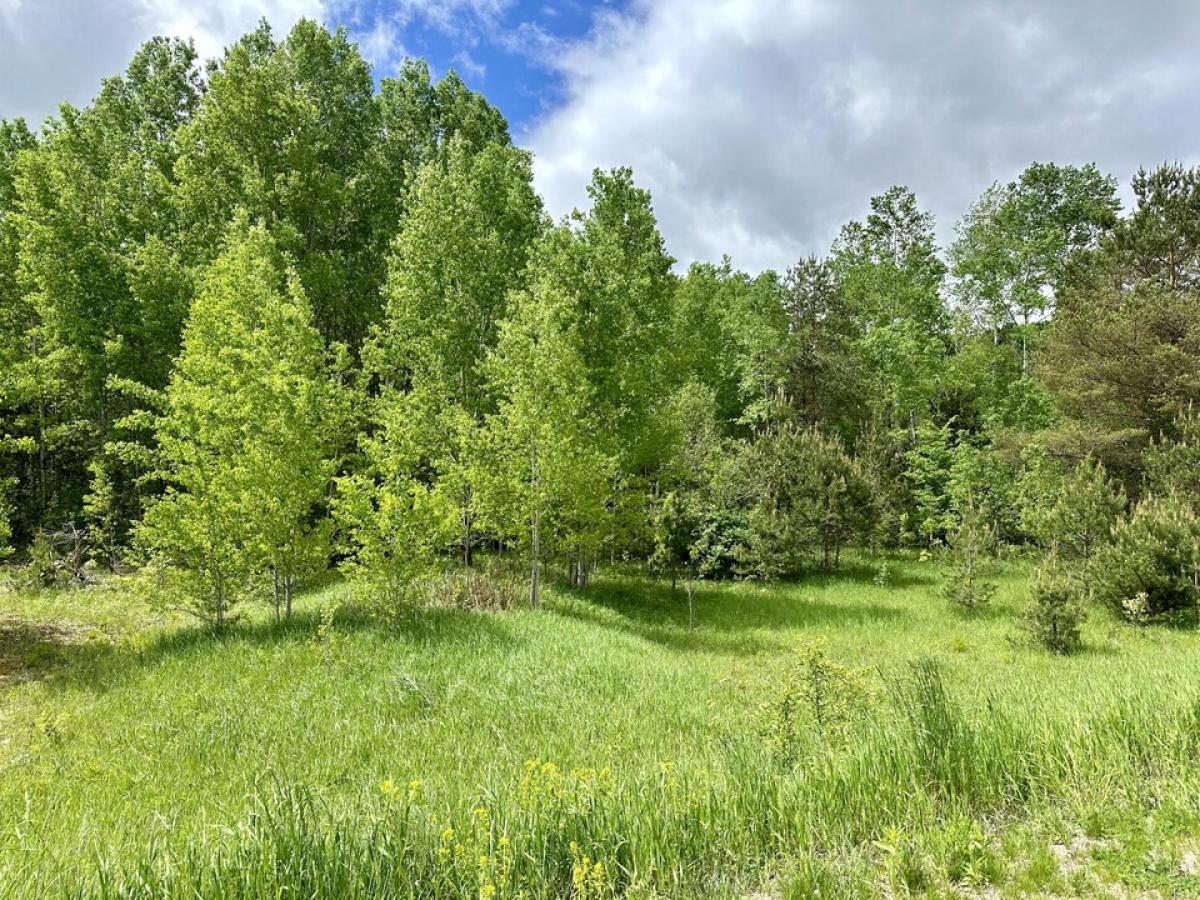 Picture of Residential Land For Sale in Gaylord, Michigan, United States