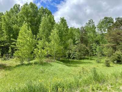 Residential Land For Sale in Gaylord, Michigan