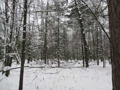 Residential Land For Sale in Grayling, Michigan