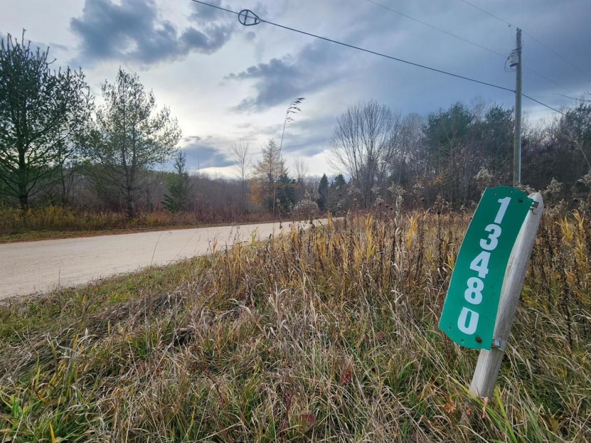 Picture of Residential Land For Sale in Cheboygan, Michigan, United States