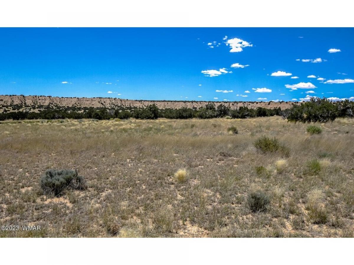 Picture of Residential Land For Sale in Chambers, Arizona, United States