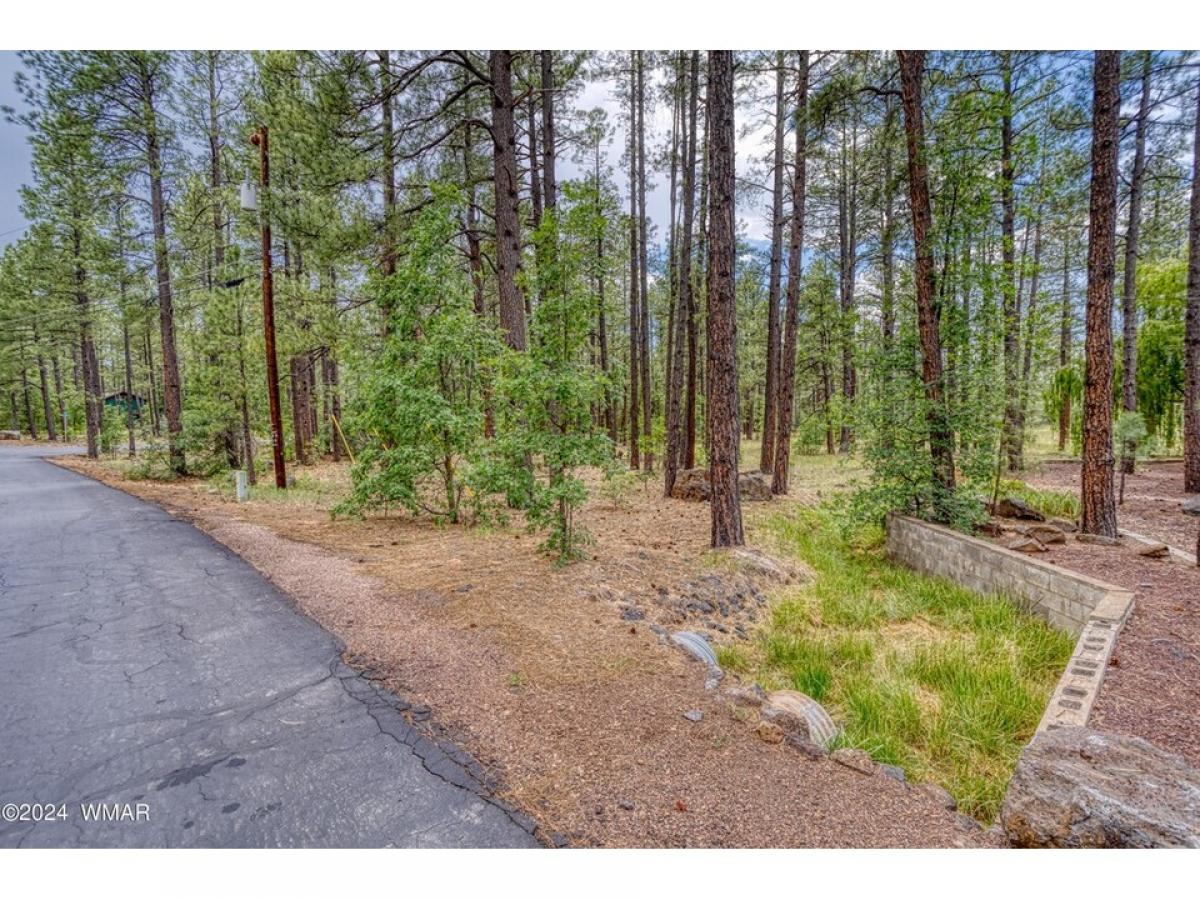 Picture of Residential Land For Sale in Pinetop, Arizona, United States