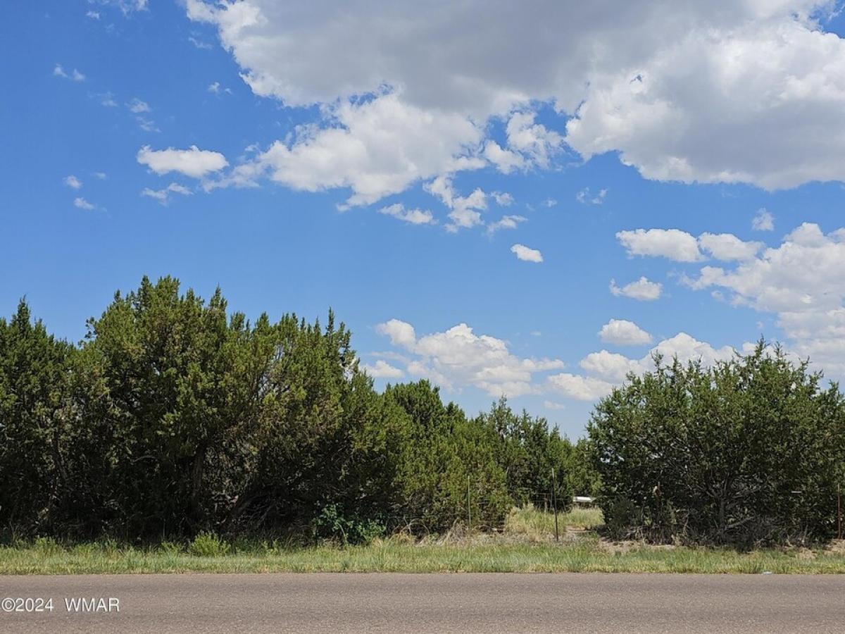 Picture of Residential Land For Sale in Eagar, Arizona, United States